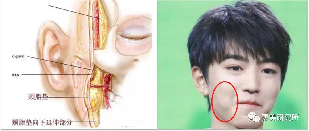 fa|今年最火的三字顶流这是要做鞠婧祎第二，换头动骨do全套？