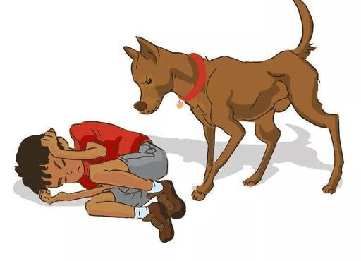 家长|家长如何保护我们的孩子，这些方法很有效伤杀力极大的狂犬病