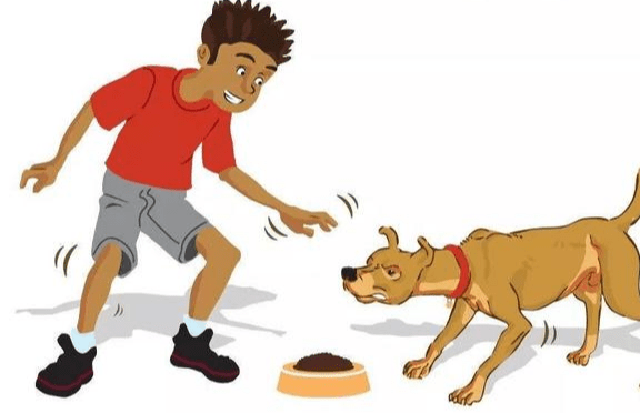 家长|家长如何保护我们的孩子，这些方法很有效伤杀力极大的狂犬病