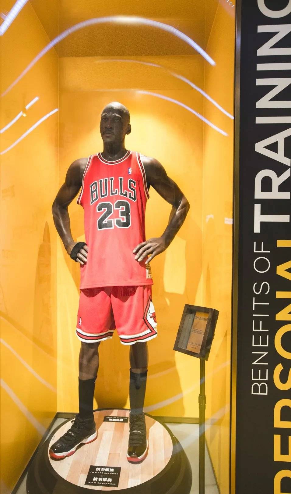 器械|艺术馆健身房，老板竟是吴尊…