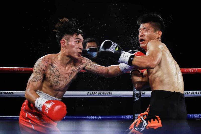 拳力排名_拳力联盟拳击宝贝