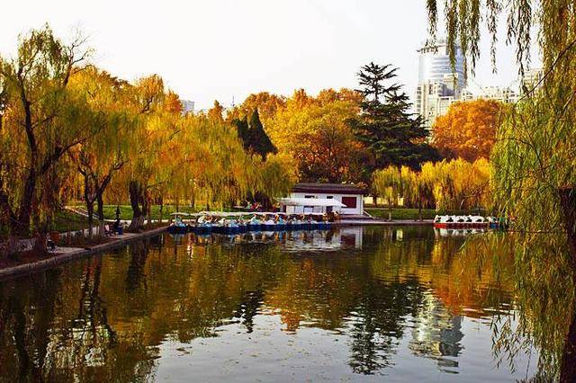陕西渭滨公园(图2)