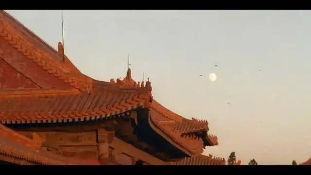 紫禁城|这个高枝是半个娱乐圈女星都想攀上的…