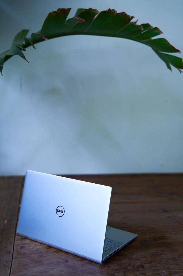 工作|既要带娃又要拼职场,戴尔灵越7300一本搞定