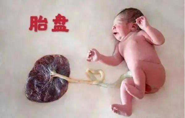 几个月胎儿有胎盘 81338ac1a2ca408b986cbfe65643c08c.jpeg