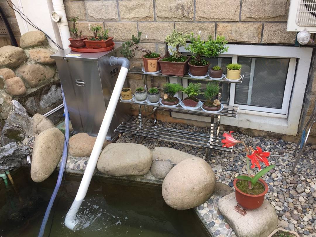 怎么样自己做鱼塘 b171e066b8b34f52a518c004cc856f14.jpeg