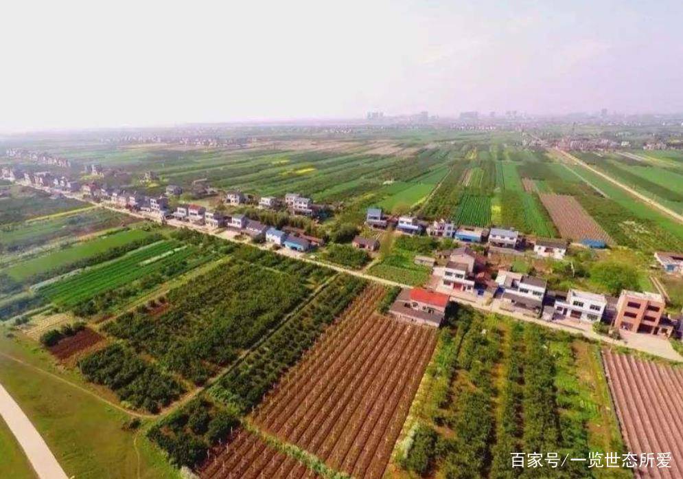 荆州城区人口有多少_荆州城区地图(3)