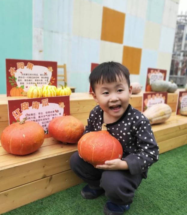 "寻找南瓜的秘密"记羊山新区幼儿园第三届丰收节主题活动