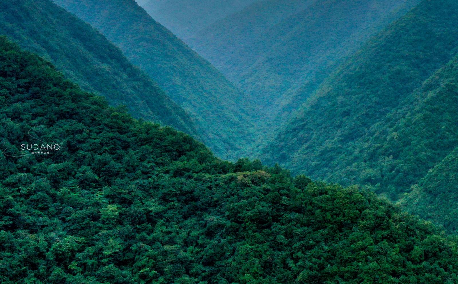 秦岭|秦岭为何被尊为“中华龙脉”：走进世界最大植物园，大自然之敬畏