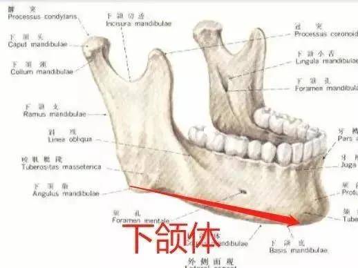 美少女|吊打鞠婧祎的真·四千年美少女，这方脸却甜到极致的美貌是开挂了吧！