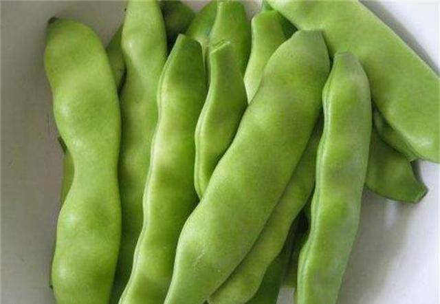 豆角是不是粗纤维 2b788e4d5f06445da15ee71e7f4de207.jpeg