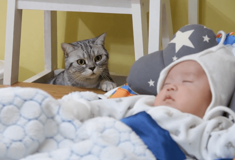 一只狗合火一个女人房子猜成语_看图猜成语(3)