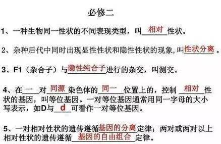 如何高效背高中生物 95b2ce61a0b24a0396aca80282cbf635.jpeg