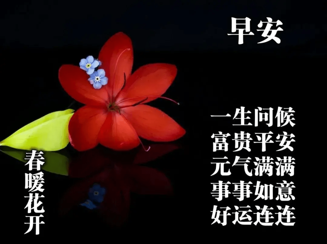 学会包容的人,就学会了生活;懂得包容的人,就懂得了快乐