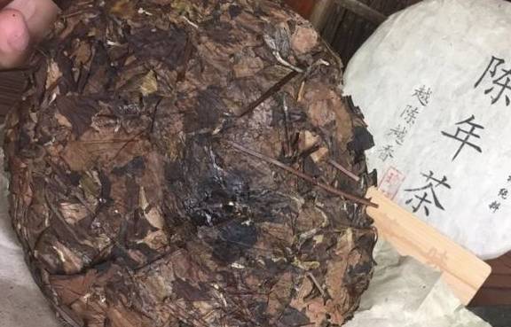 执念|坚持喝十年八年的老白茶,你的这份执念,很容易上当受骗!