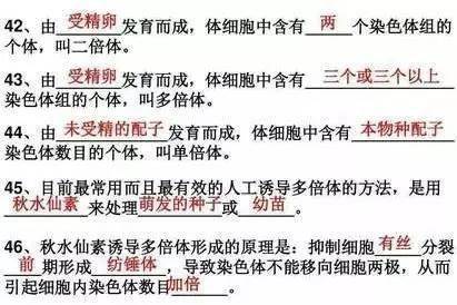 cd4c1a5f8ee24404b717f498ecc7f733.jpeg