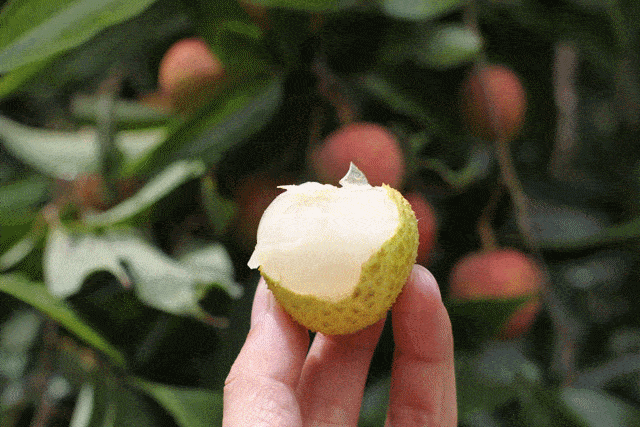 040636a3c475445abc628e09af67aa54.gif