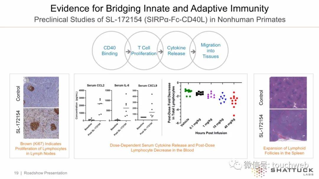 持股|原创Shattuck冲刺美股：拟募资1.5亿美元 路演PPT曝光