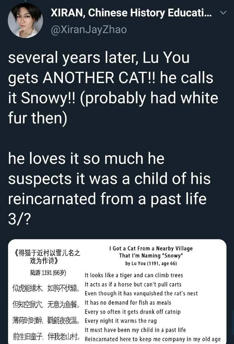 952a9967a9ce423cbdee3f4d58a529ac.jpeg