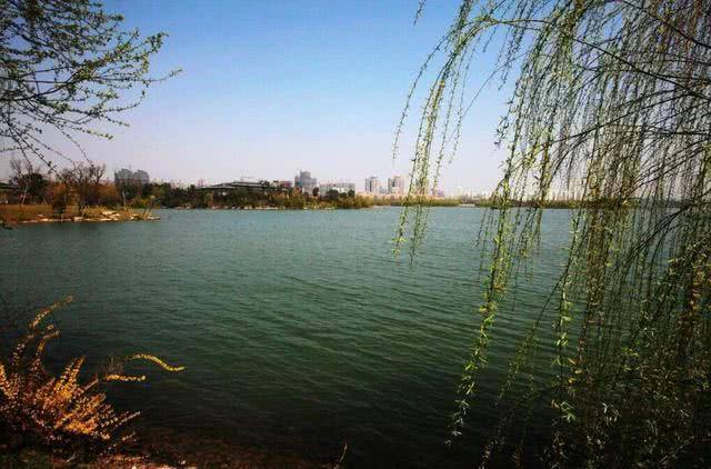 中国城市薪酬排名_2019年中国城市人均工资标准:杭州超过广州
