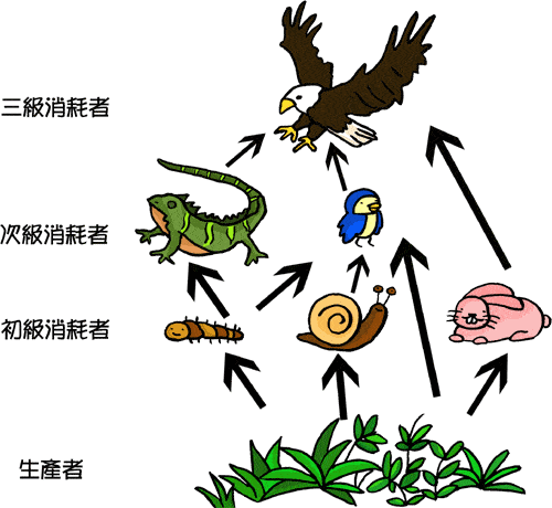 阳宅人口少_最好的风水阳宅图(3)