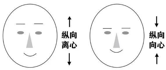 五官|同样是姐姐脸，为什么一个翻车一个却晋升神颜？