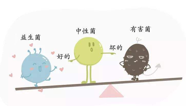 移植|乙肝肠道微生物群移植26周研究，联合抗病毒药物，评估抗原变化