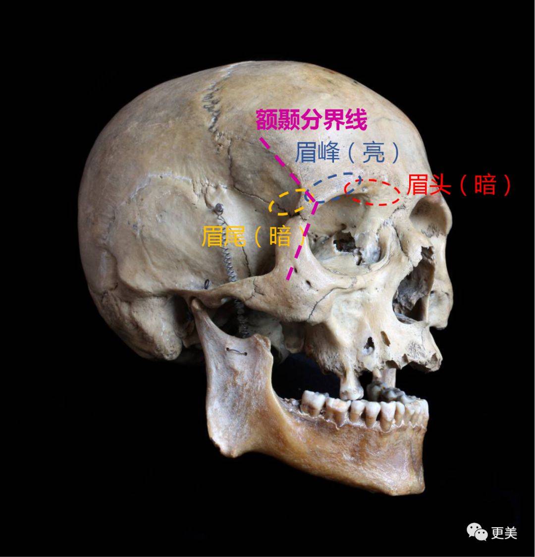 眉毛|凭《东宫》女主火出圈的她,如今却整成了Ai假人,太可惜…