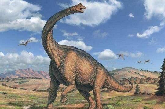 恐龙为什么演化成鸟类
