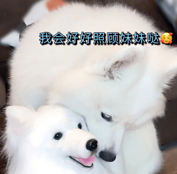 8c421042f8794c0eaad43fab989a4ffb.png