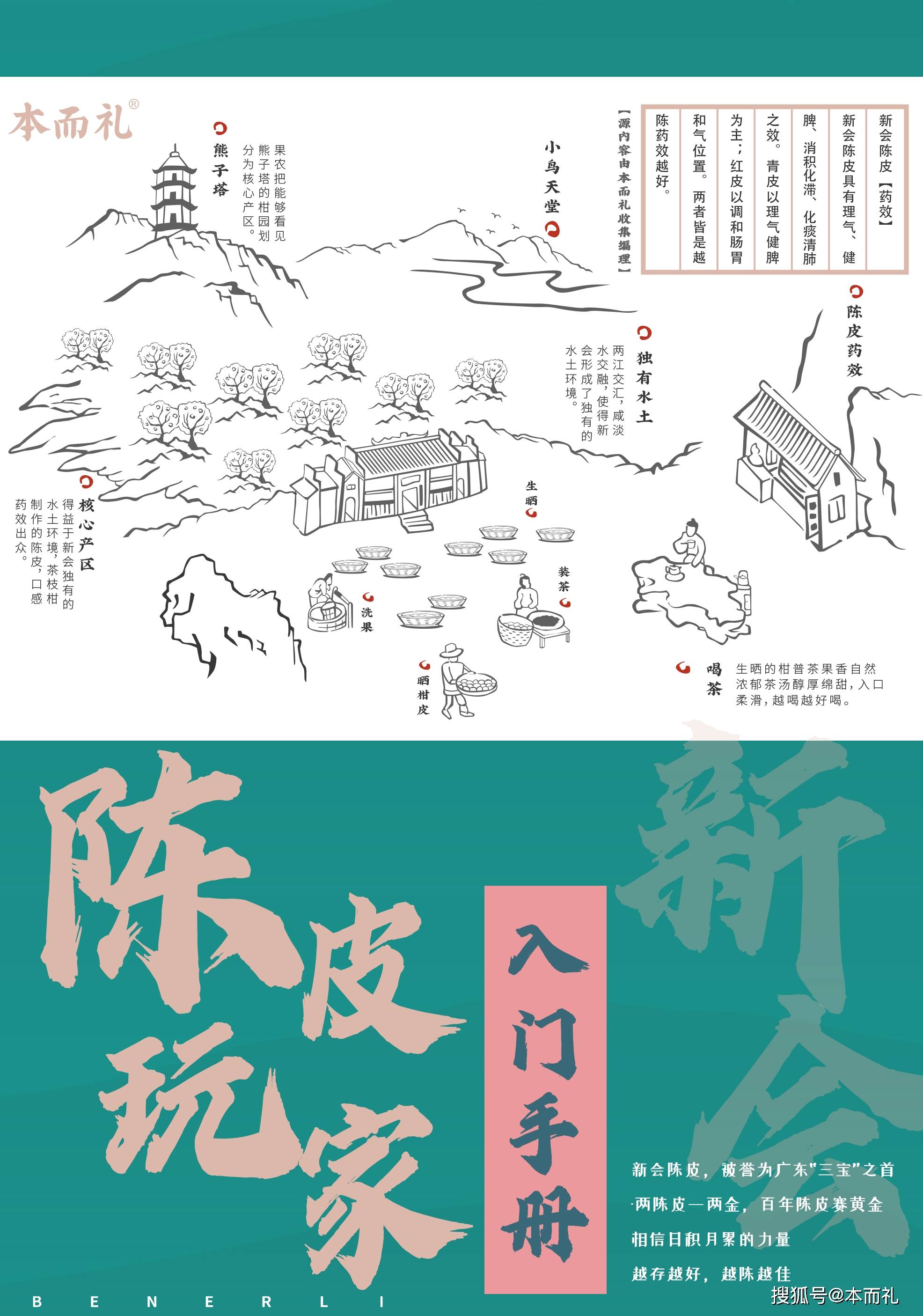 见闻记录|为什么说陈皮药用价值早已经闻名遐迩？