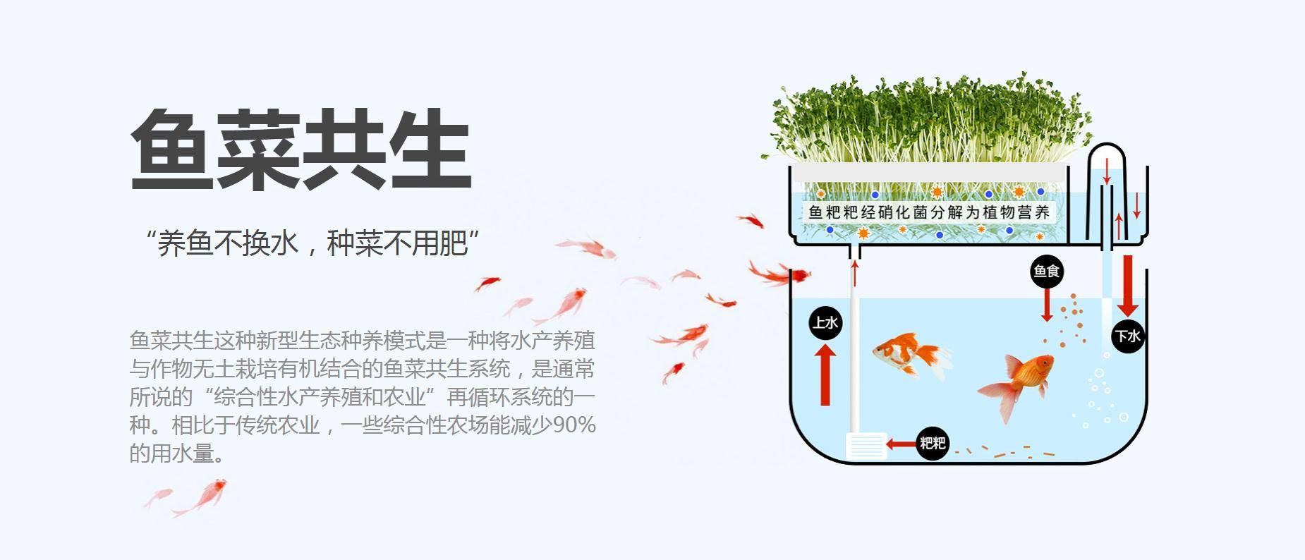 鱼菜共生生态种养殖苗木之家花园音乐餐厅项目董事长陈静在2018年发明