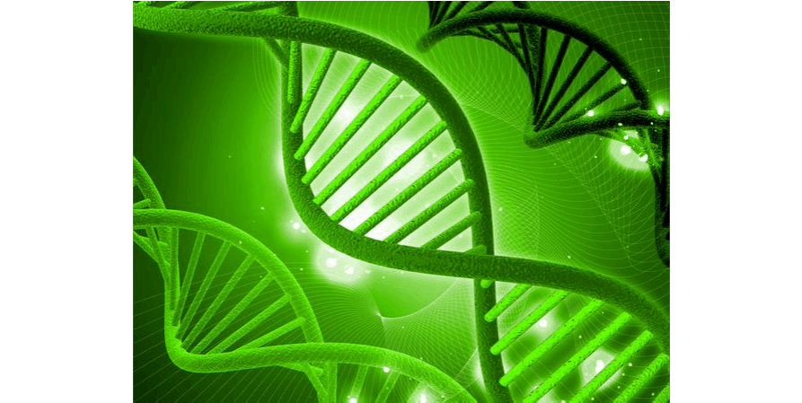 专业|疫情下的美国留学热门专业----公共卫生专业，你了解吗？