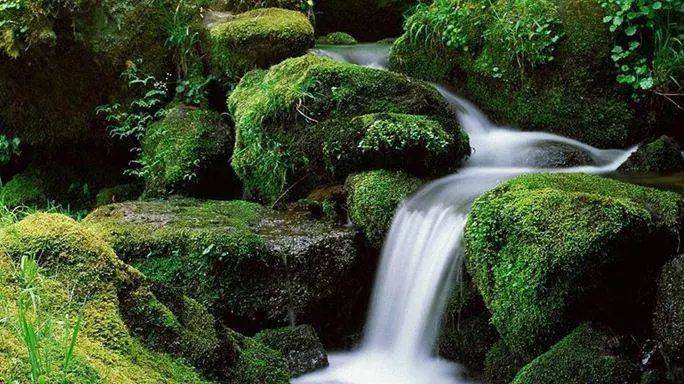 中国|相扑、漆器、抹茶，竟都源于中国：为什么却被日本发扬光大？