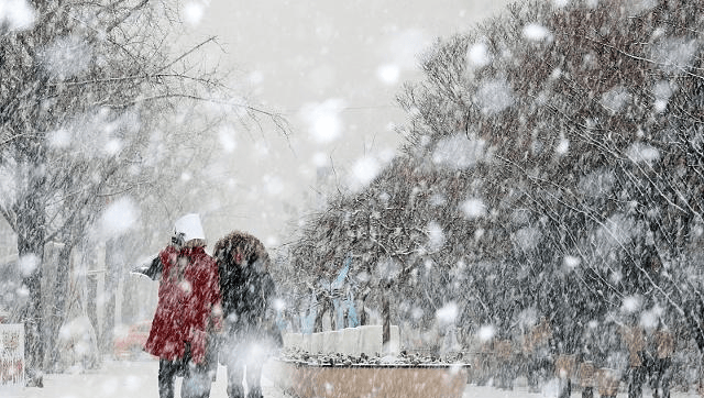 怎么描述雪很大的句子 d6d8269d58584f6c8bd0840c615457a7.png