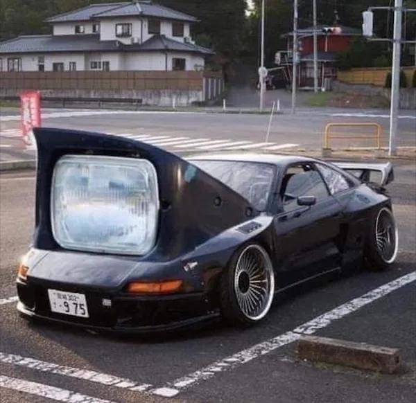 安全感|喵和鱼睡一起,是不是更有安全感?