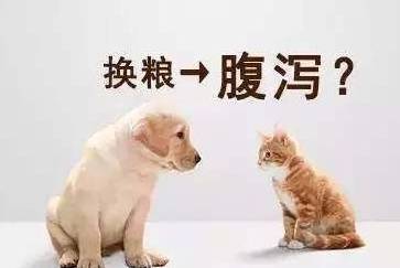 6ab26c56df0a41e7876f797dc4bcedc3.jpeg