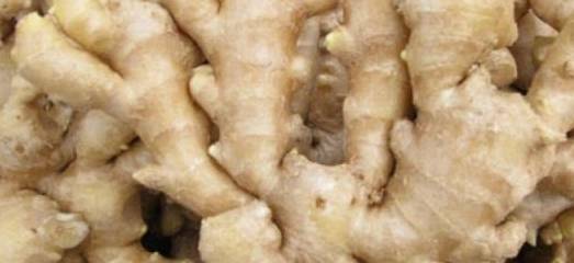 怎么收藏生姜 6d05438d89fd40e88b68d3006b74ae34.jpeg