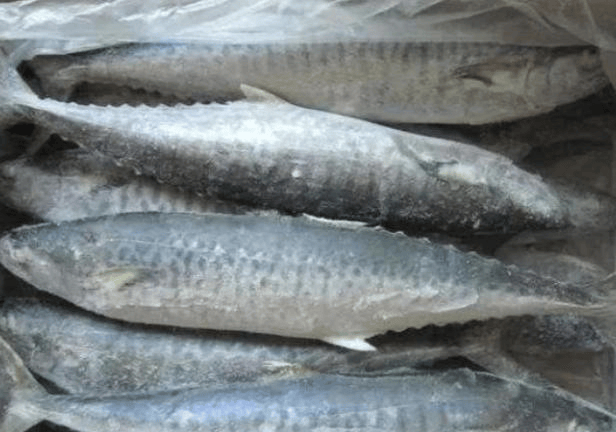 怎么解冻鱼最快最有效 7e6e5747299a484d89070e332b5dba39.png