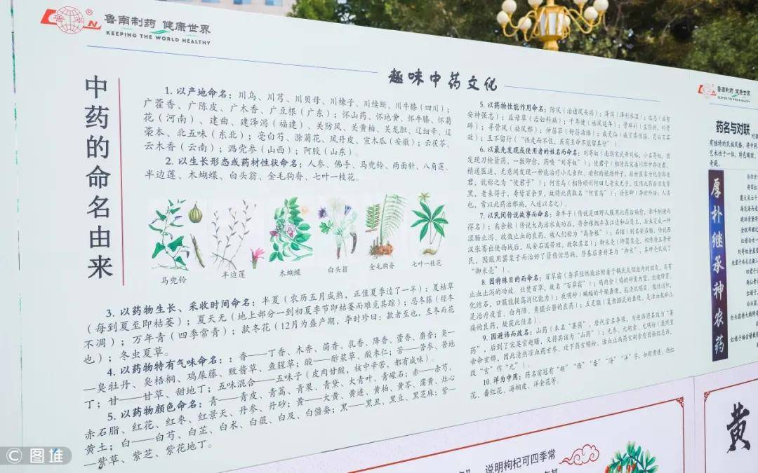 穿越时空的隧道 我们看到 >>>远古时代 "神农尝百草","药食同源",中医