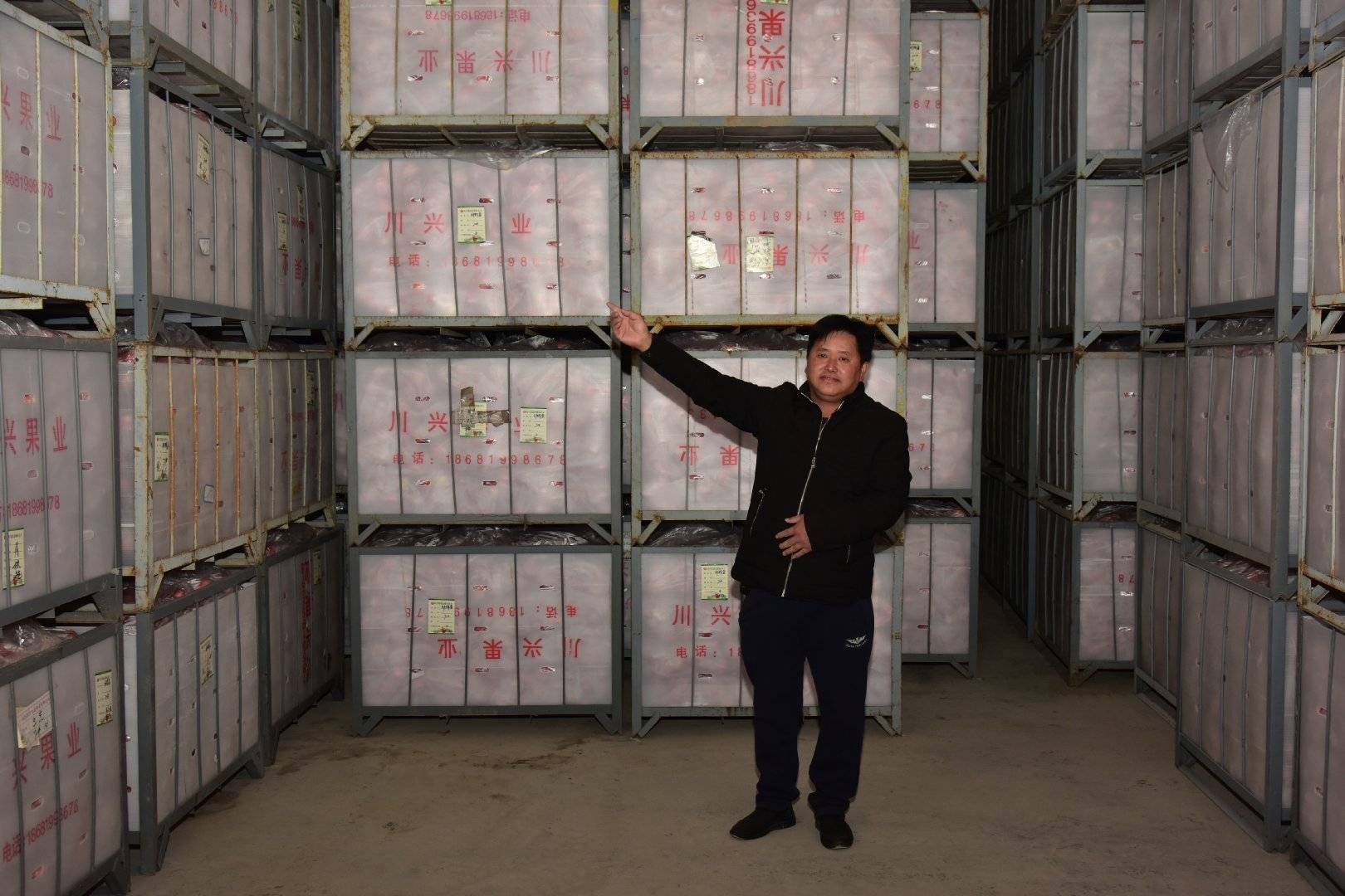 陕西农业|走进中国苹果20强县咸阳旬邑 消费扶贫e起来看马栏红苹果丰景图