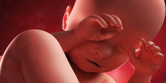 什么时候能感觉到胎儿的存在 ae40ff4953484345bcb38925b45370c4.jpeg