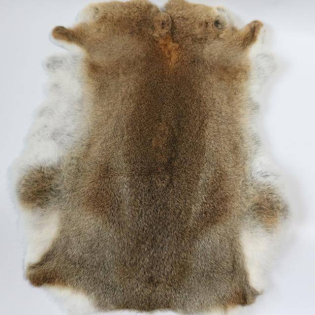 原创铲屎官网购九块兔皮给自家猫咪却遭人批评一句反驳的话惹众怒