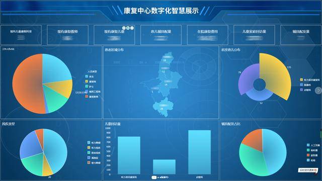 宁夏残疾人康复中心 智慧医疗数据可视化分析平台_康复医院