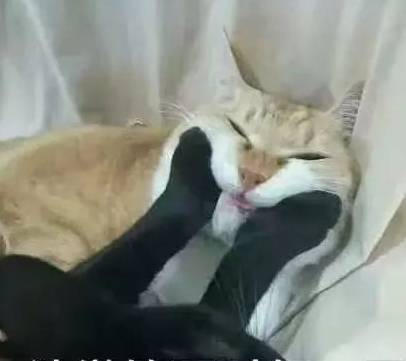 0db712095ae7415d8c58a7ee61406f90.jpeg
