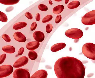 如何区分血透、血滤、血浆置换?