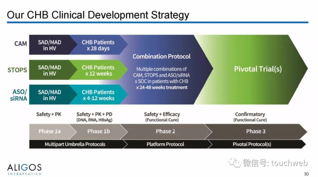 Capital|治乙肝的Aligos冲刺美股：拟募资上亿美元 路演PPT曝光
