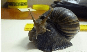 a0ae2c8e1ee34005a0897176f947f3b1.png