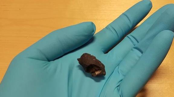 北欧基因人口_传承红色基因手抄报(2)