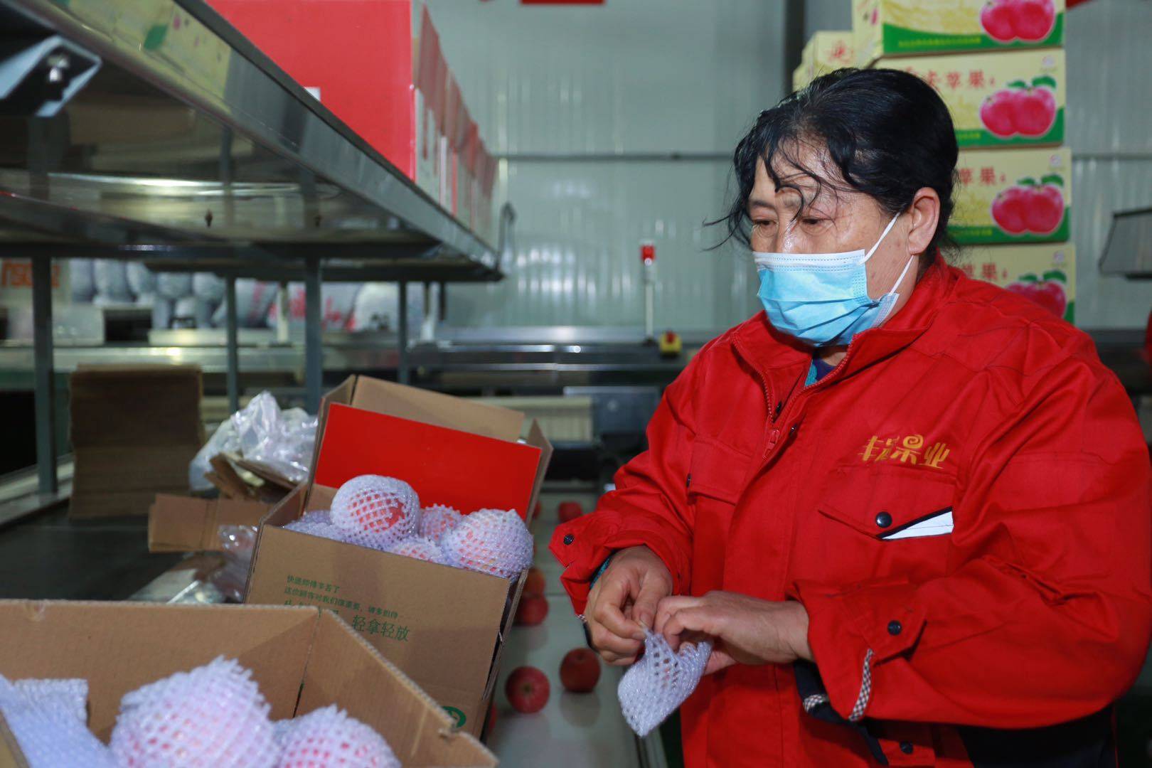 陕西果业|“延安有我一棵苹果树”当个快乐的都市农夫，你愿意认领吗？